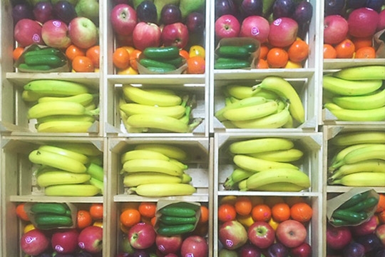 Fruit op het werk in Waalwijk, Breda, Eindhoven, Den Bosch en Oss